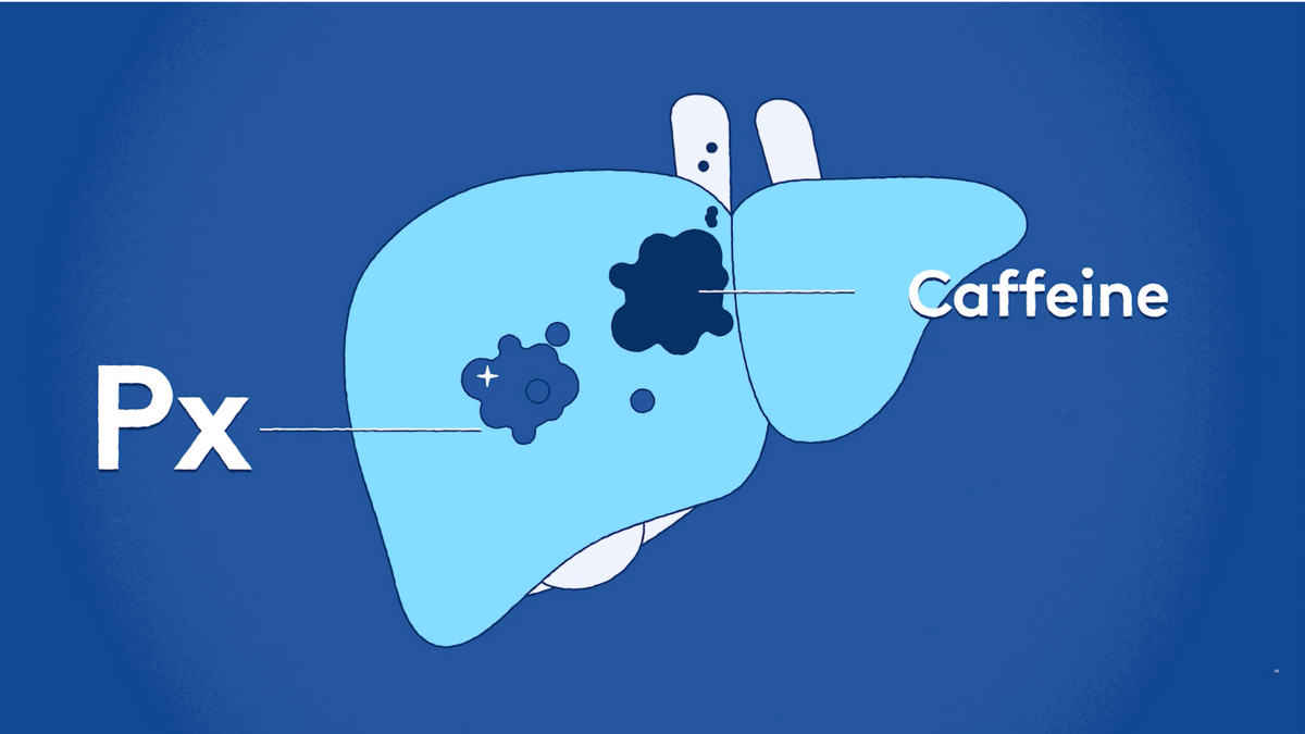 What Is Px and How Does It Change Coffee as We Know It?